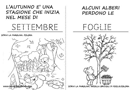 Pregrafismo Maestra Gemma